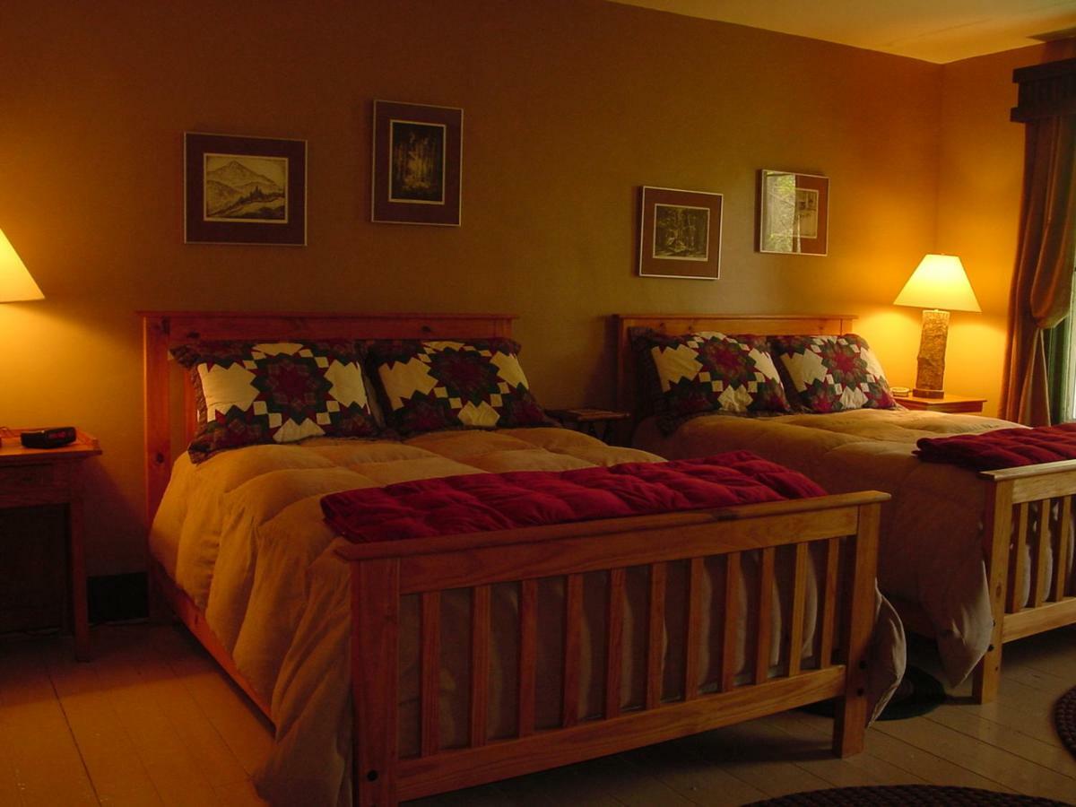 The In Hotel 3*